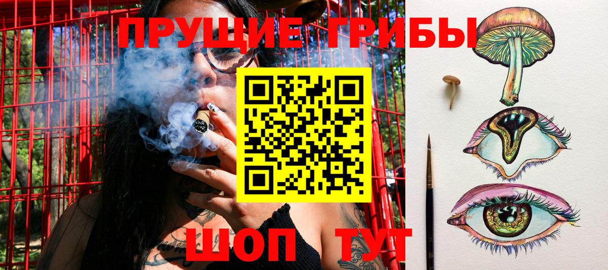 Галлюциногенные грибы Cubensis Каспийск