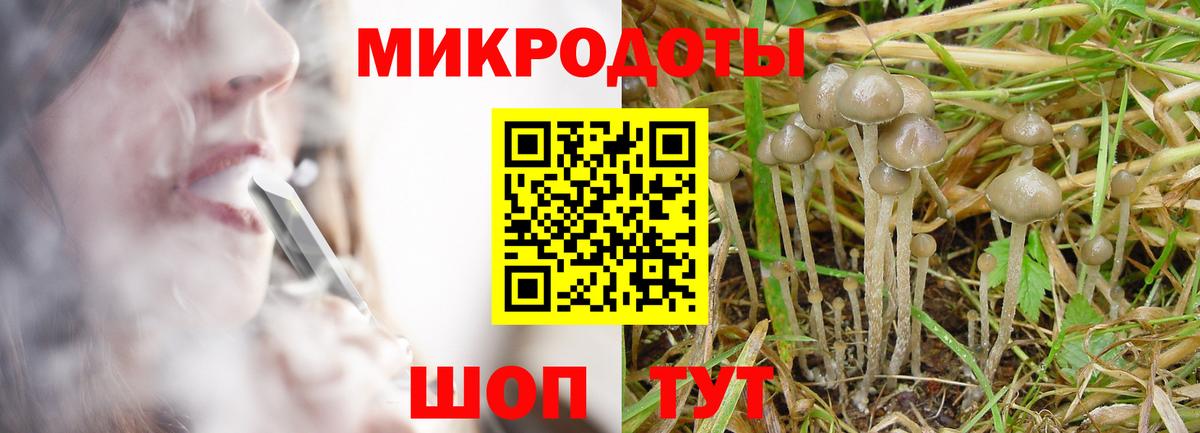 Галлюциногенные грибы мицелий  Галлюциногенные грибы прущие грибы  Вход с VPN  Каспийск 